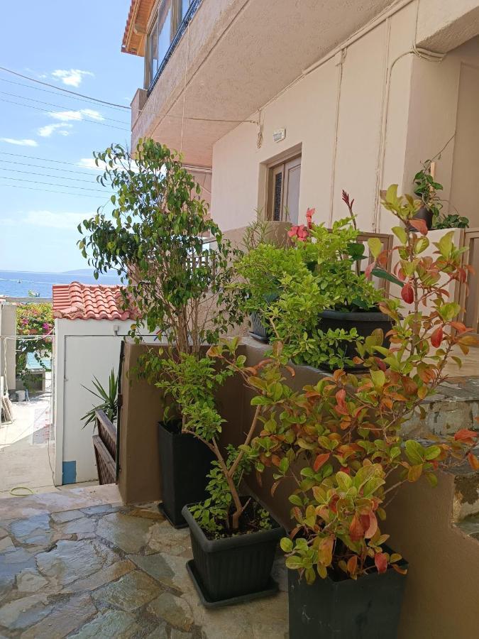 Buganvilla Sea View Apts 阿齐亚·佩拉加 外观 照片